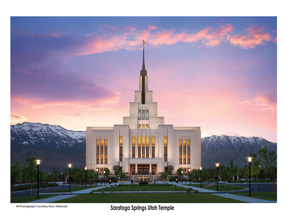 3-Pack 2024 Calendars