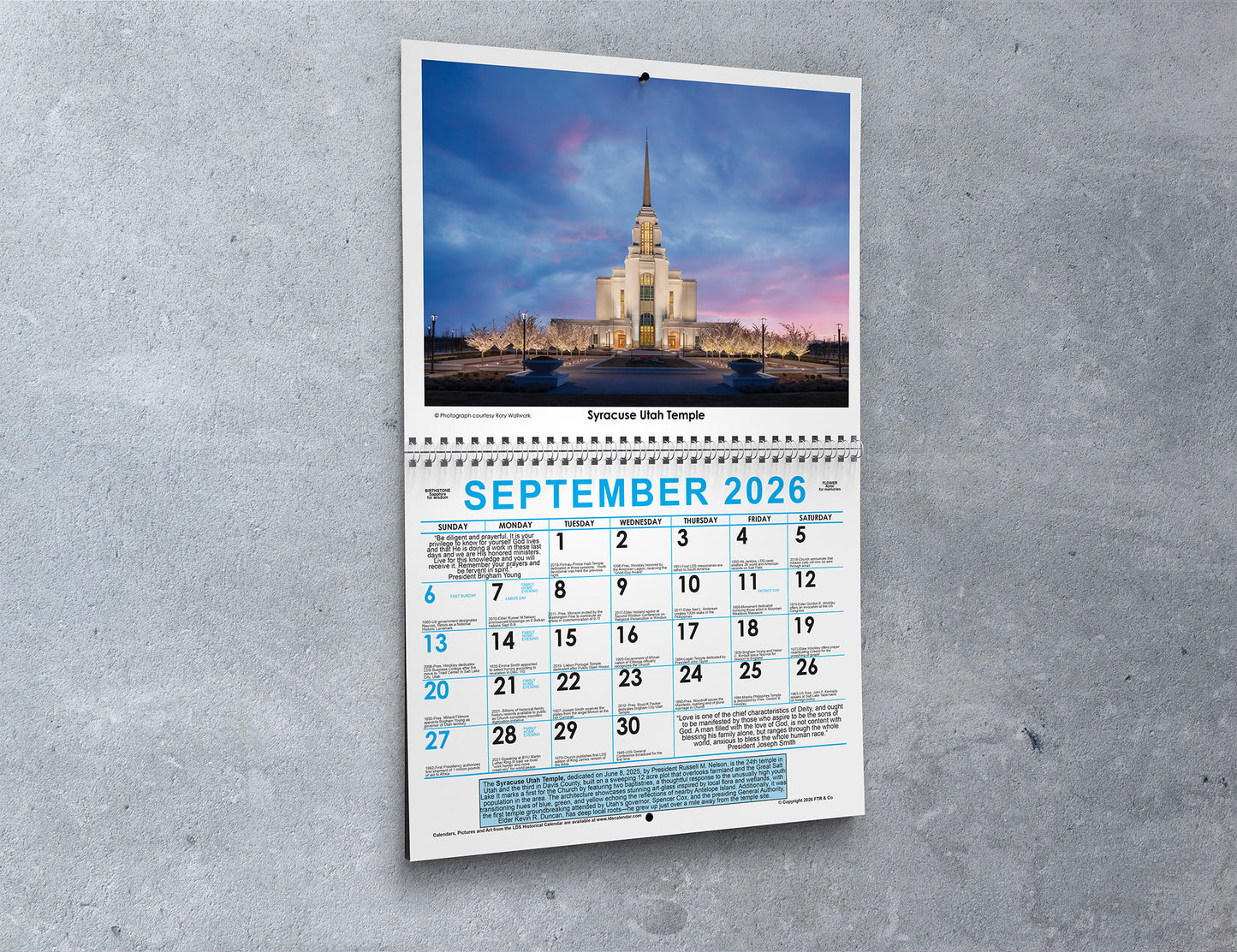 10-Pack 2026 Calendars