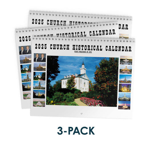 3-Pack 2025 Calendars